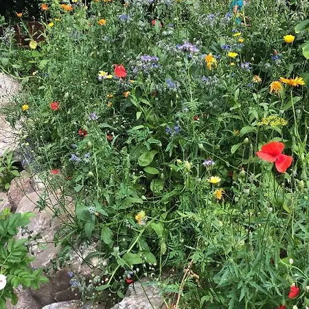 Strandgut Und Feuerstein