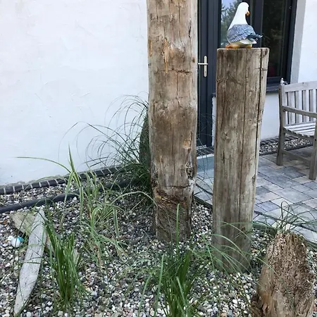 Strandgut Und Feuerstein *