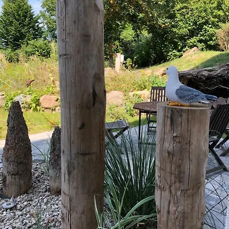 Strandgut Und Feuerstein Gustow (Vorpommern-Rugen)