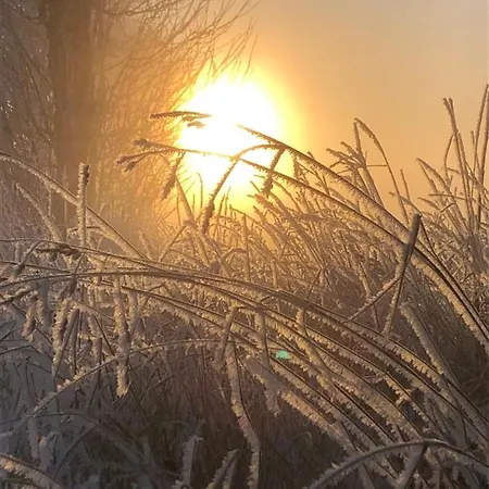 Apartamento Strandgut Und Feuerstein