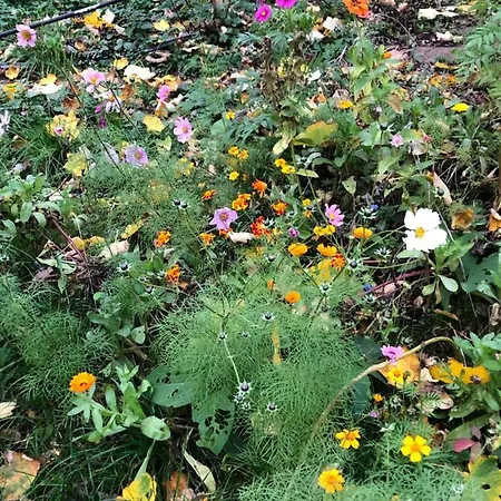 Strandgut Und Feuerstein Apartamento