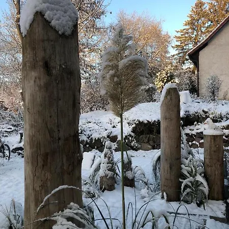 Strandgut Und Feuerstein * Gustow (Vorpommern-Rugen)